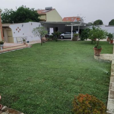 208312740_4380336632016346_5959605454716602483_n