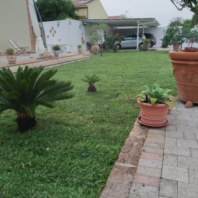 208413245_4380336352016374_3624776220652784286_n