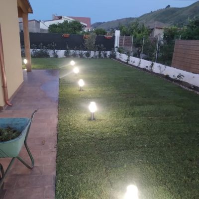 214612770_4397165417000134_7108059868324273210_n