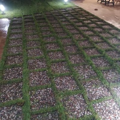 214958455_4397165620333447_7074271318122599471_n