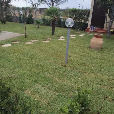 225635767_4457081131008562_1330126889333665356_n