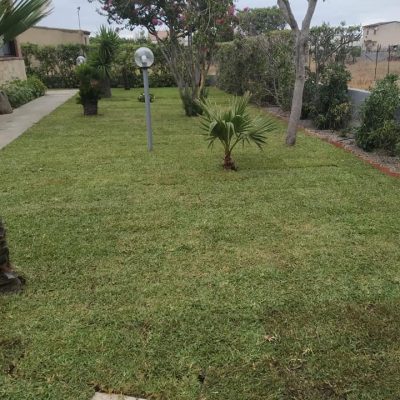 227966804_4457081334341875_3412334859975586895_n