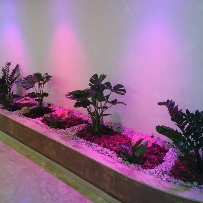 315429266_521302103344518_2149625813319065635_n