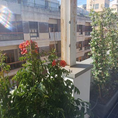 WhatsApp Image 2024-05-31 at 15.39.25