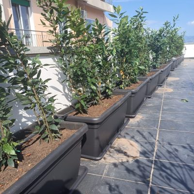 WhatsApp Image 2024-05-31 at 15.39.28